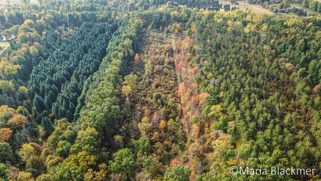 $125,000 | East Charles Road, Ionia, MI 48846