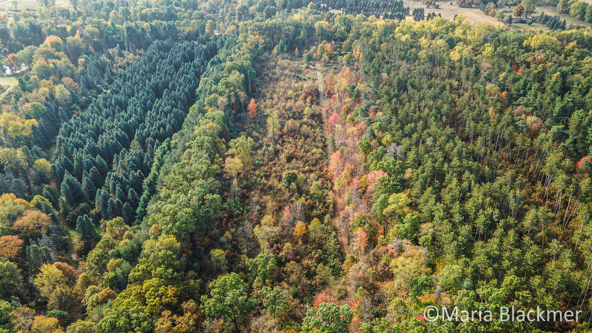 East Charles Road Ionia, MI 48846 - Photo 8 of 21 DJI_0859