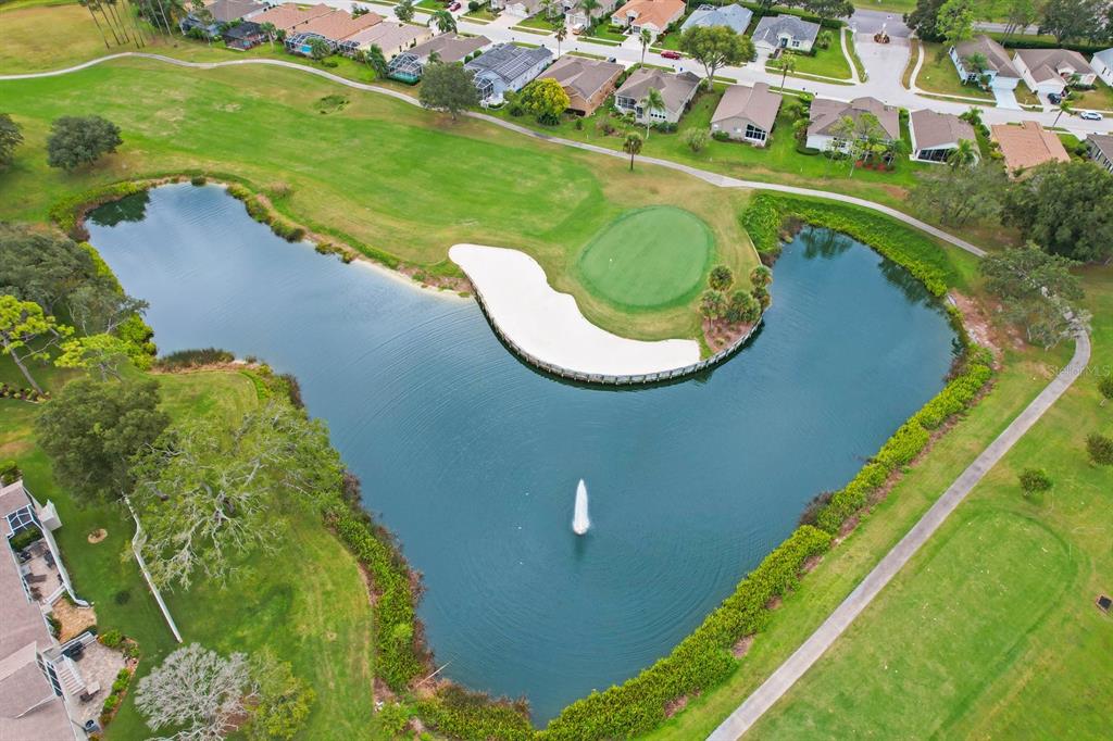 11636 Spindrift Loop Hudson, FL 34667 - Photo 40 of 42