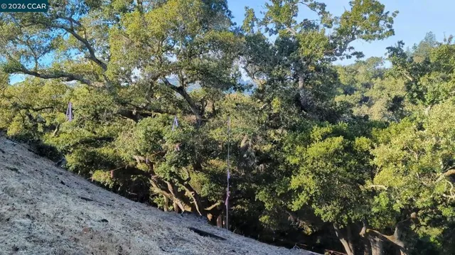 $499,000 | 13-13 St James Court, Orinda, CA 94563