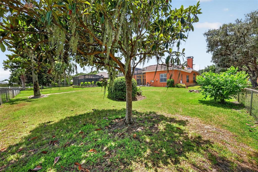 29742 Squirrel Point Road Tavares, FL 32778 - Photo 50 of 58