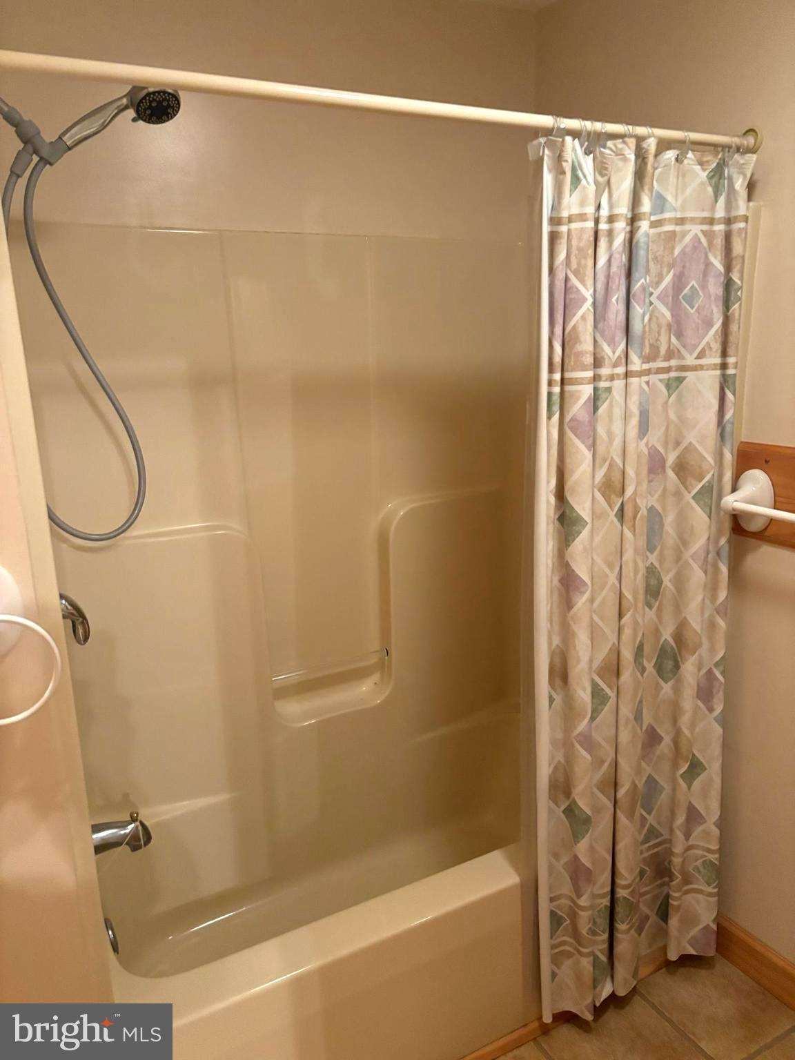 251 Riffey Mountain Lane Mathias, WV 26812 - Photo 18 of 33 Primary bedroom2 with shower tub