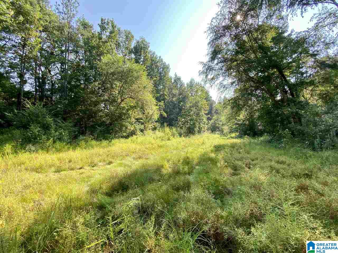 1 River Road, Unit 1 Quinton, AL 35130 - Photo 22 of 30