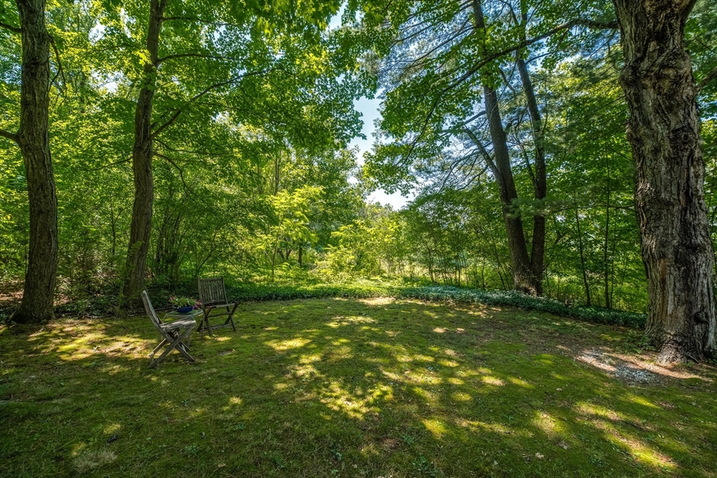 18 Plum Tree Road Amherst, MA 01002 - Photo 4 of 38