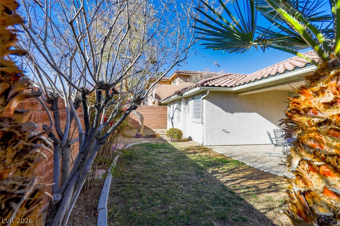 11073 Village Ridge Lane Las Vegas, NV 89135 - Photo 31 of 37