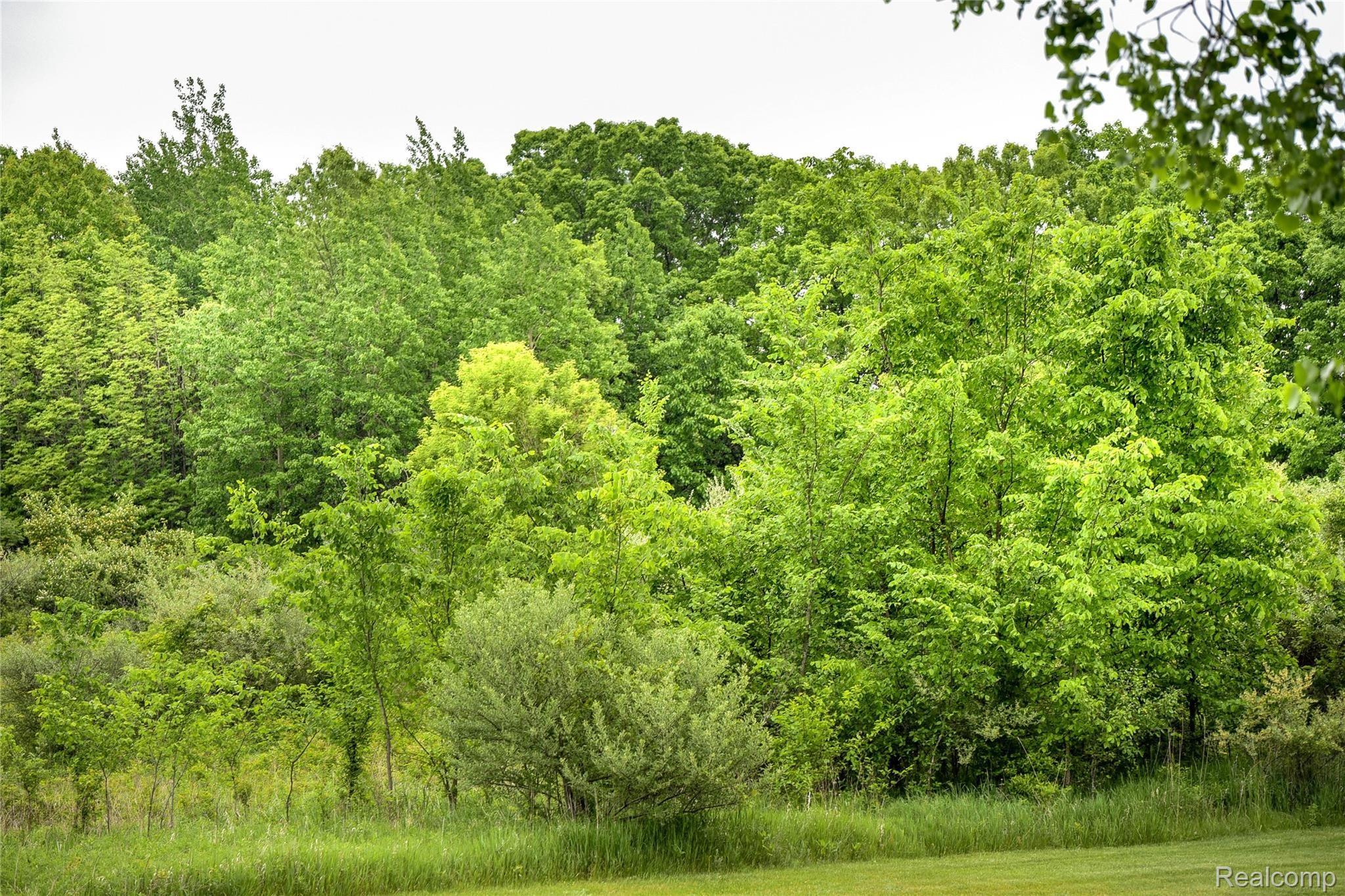0 Thomas Road Metamora, MI 48455 - Photo 10 of 30 Thomas Road by WCB (10).jpg
