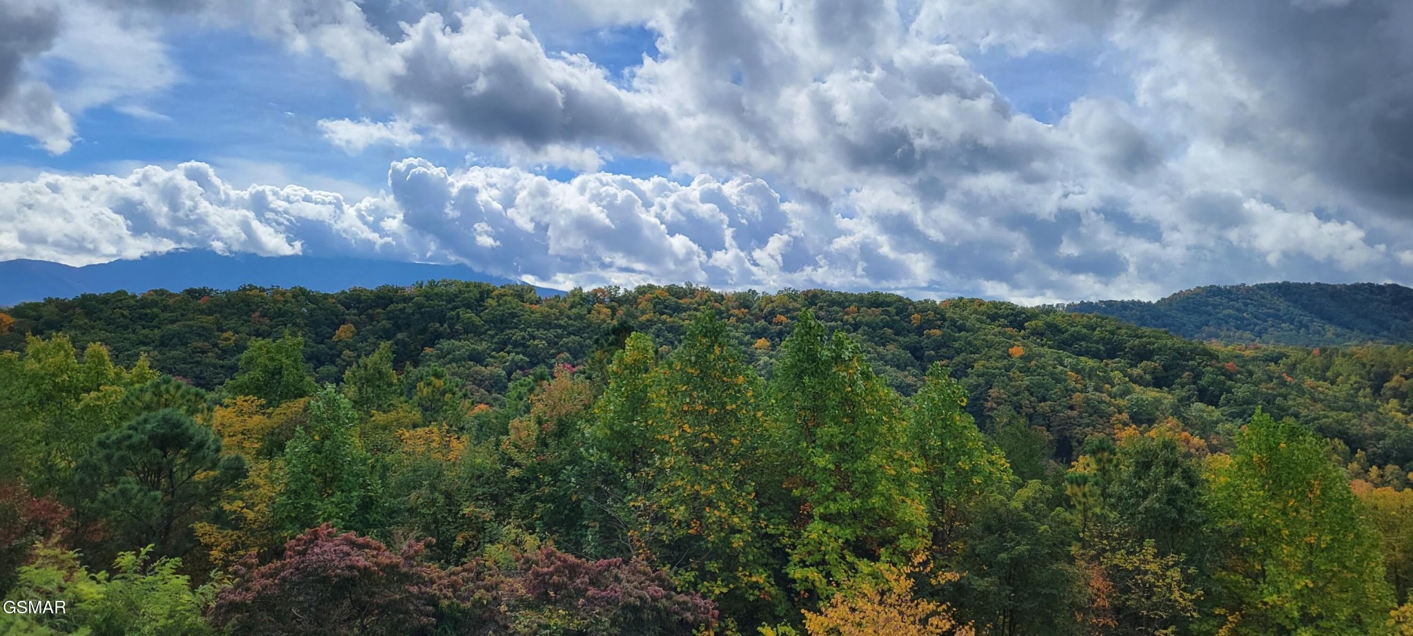 2 Caney Creek Road Pigeon Forge, TN 37863 - Photo 6 of 7