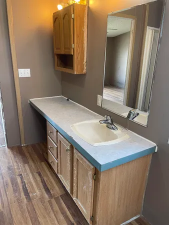 a bathroom with a sink and a mirror