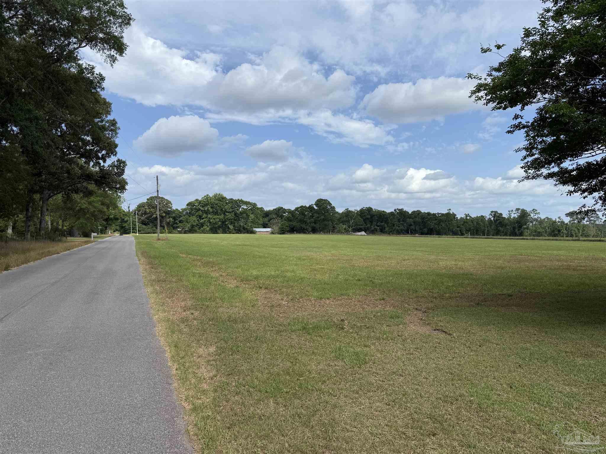 Lot 1 Hall Road Jay, FL 32565 - Photo 3 of 3