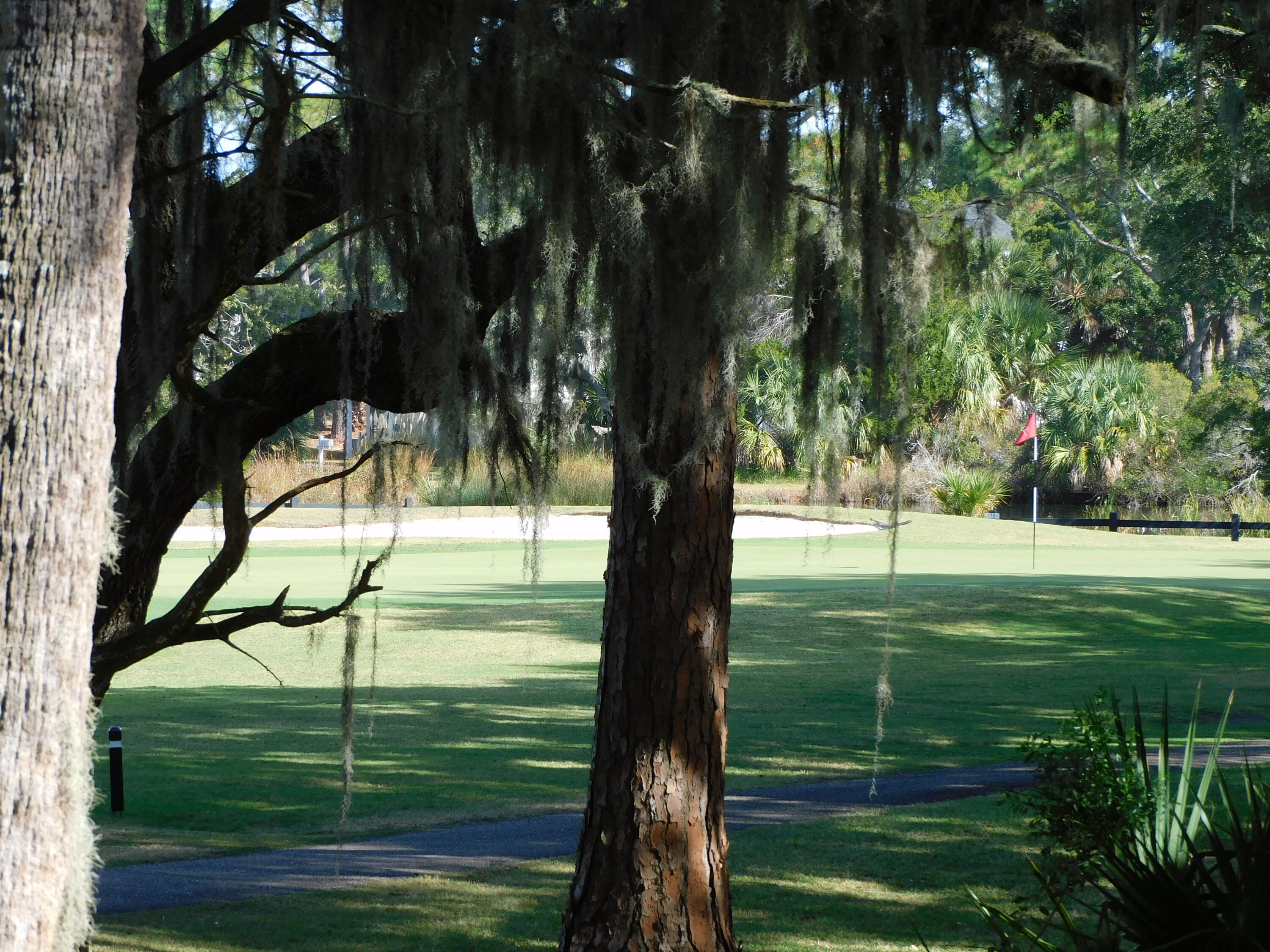 265 Sea Cloud Circle Edisto Island, SC 29438 - Photo 1 of 19 DSCN0172