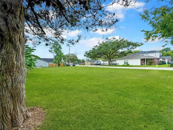 a view of a trees with a big yard