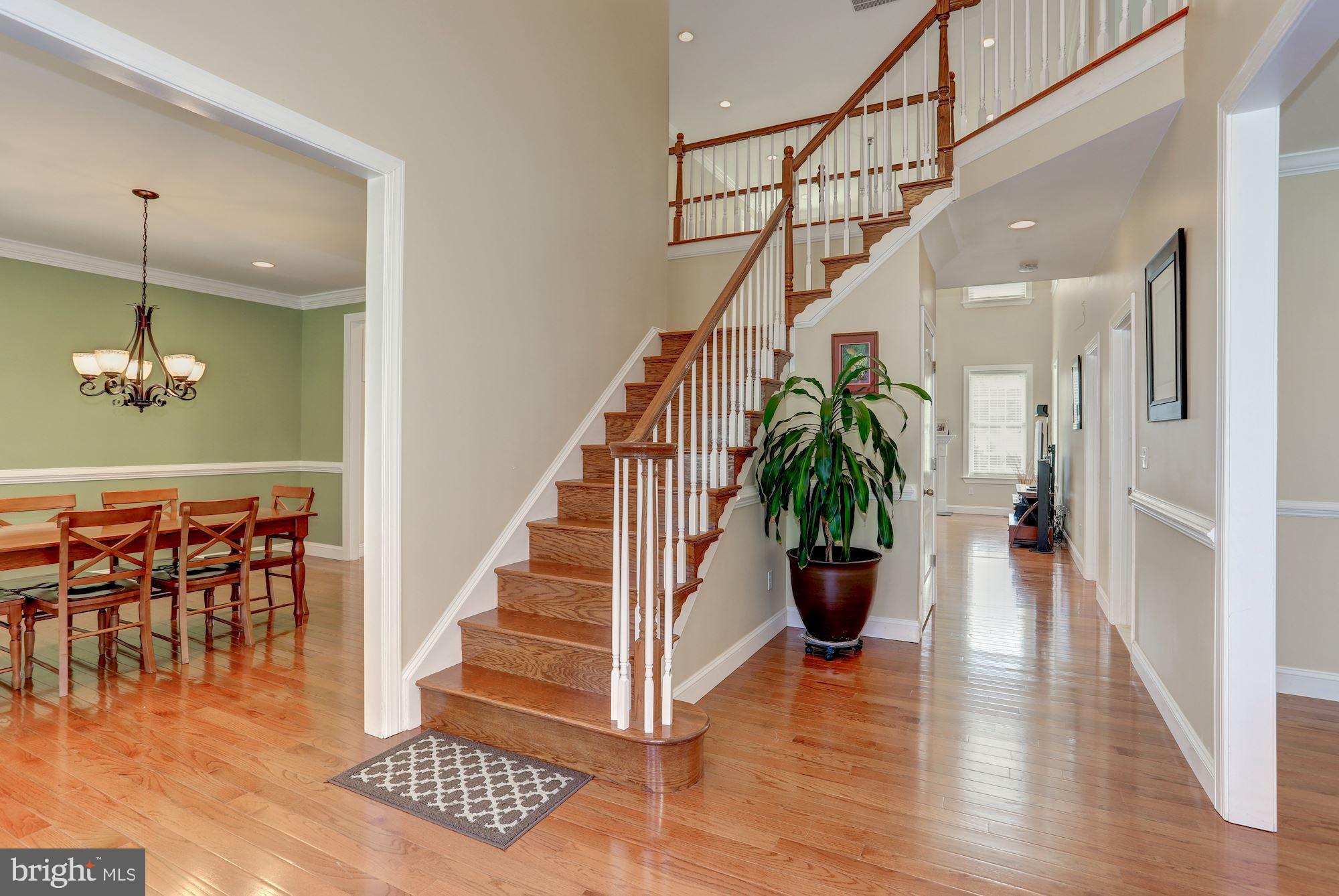 8725 Redman Street Springfield, VA 22153 - Photo 2 of 30 Interior (General)