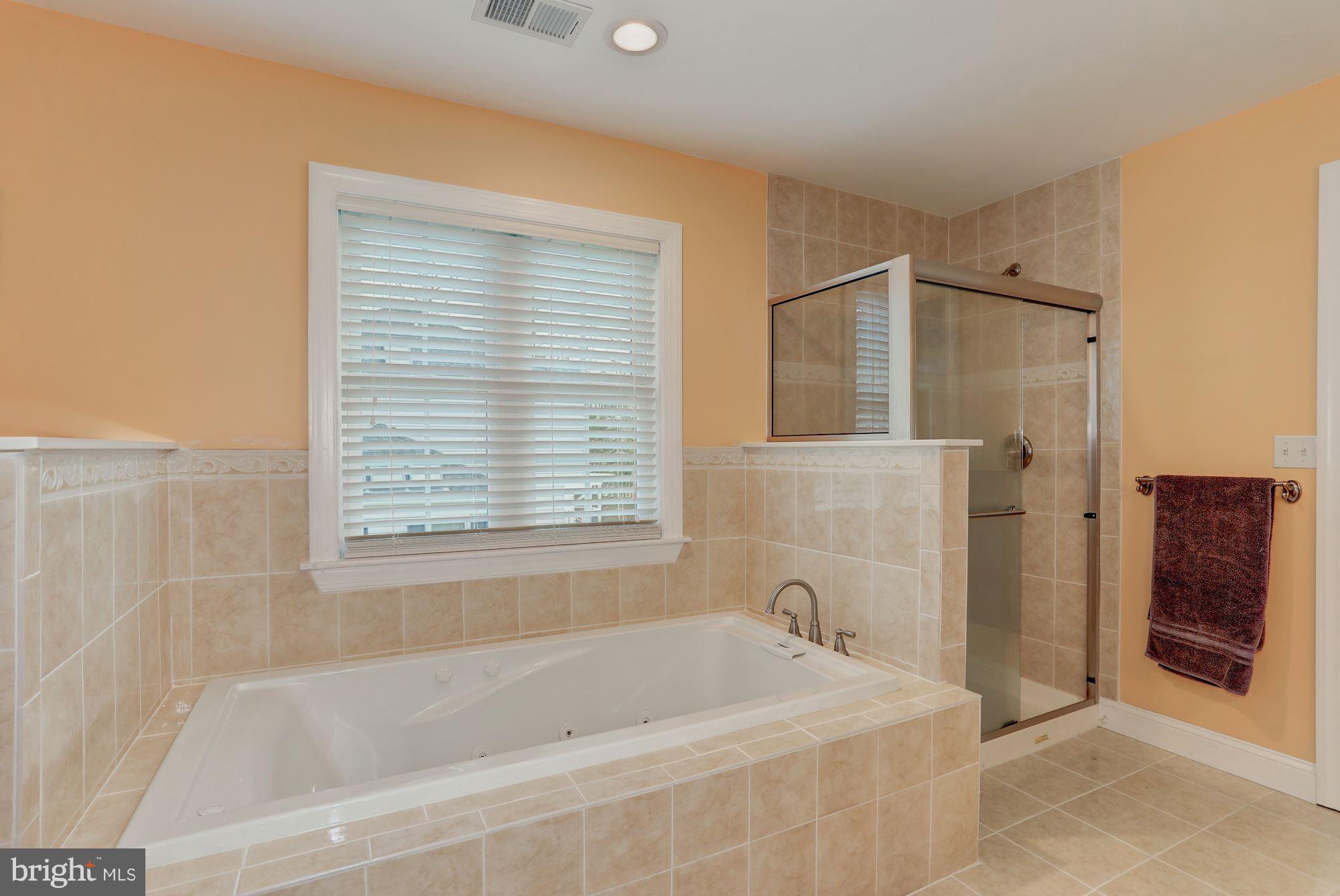 8725 Redman Street Springfield, VA 22153 - Photo 19 of 30 Bath (Master)