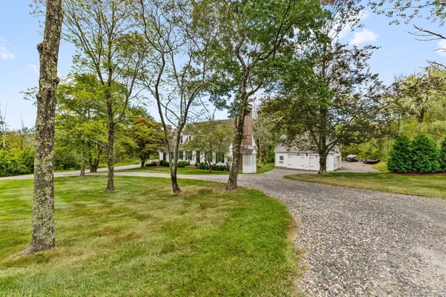 a view of a yard with palm trees