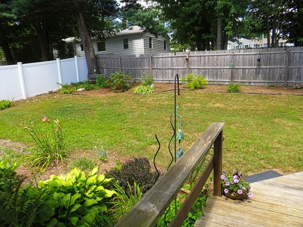 969 Allen Street Springfield, MA 01118 - Photo 17 of 21 a view of a garden with an outdoor space