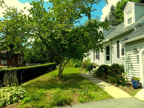 969 Allen Street Springfield, MA 01118 - Photo 2 of 21 a view of backyard of house with green space