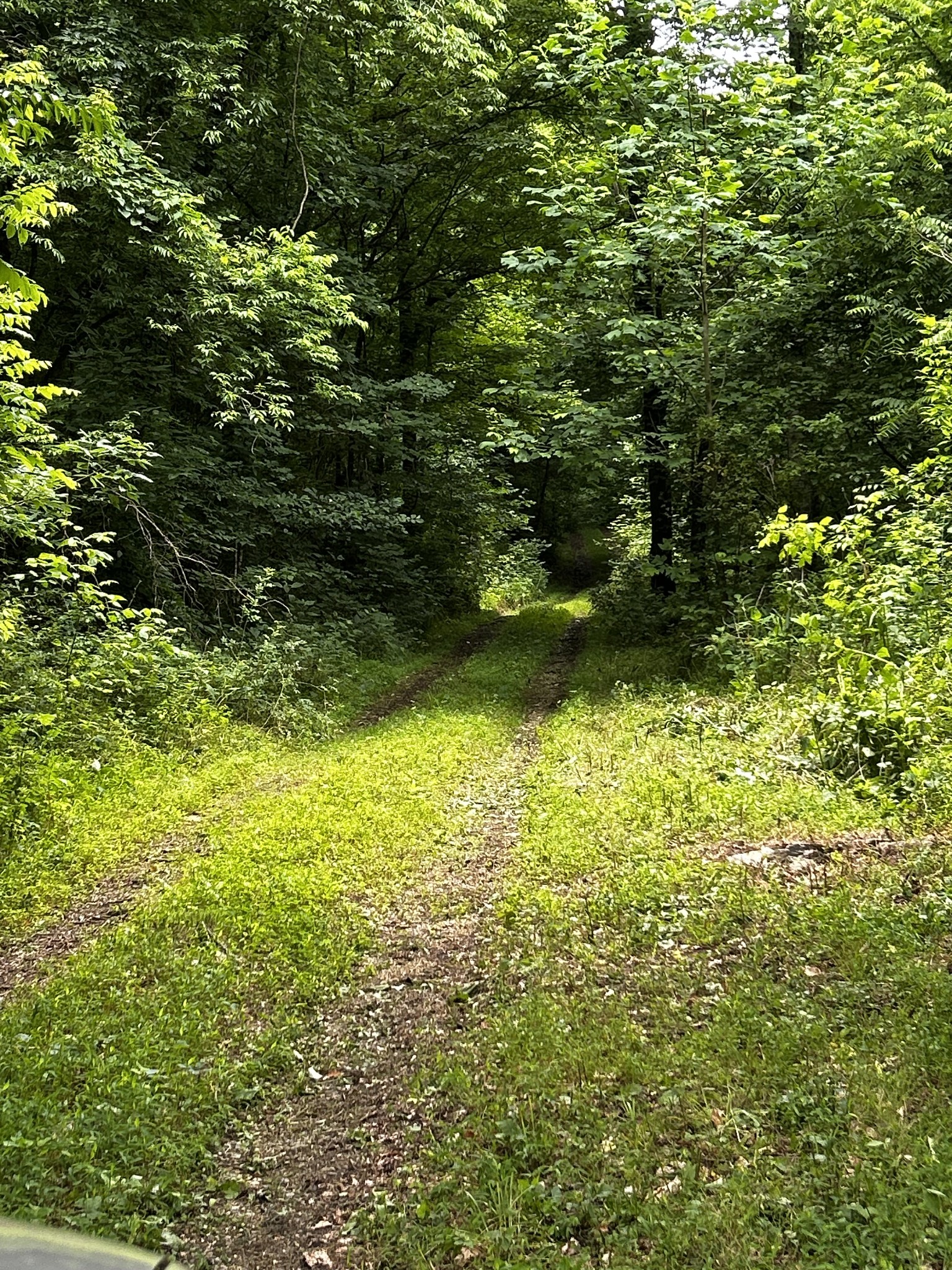 98 Hackett Valley Road Hickman, TN 38567 - Photo 4 of 41