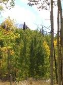 Tbd Waggoner Road Placerville, CO 81430 - Photo 5 of 10 download