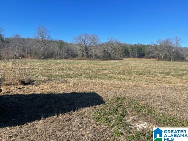 600 Valley Drive Attalla, AL 35954 - Photo 12 of 27