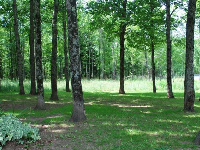 7199 Cth Road Argonne, WI 54511 - Photo 9 of 14 Gallery Image 9