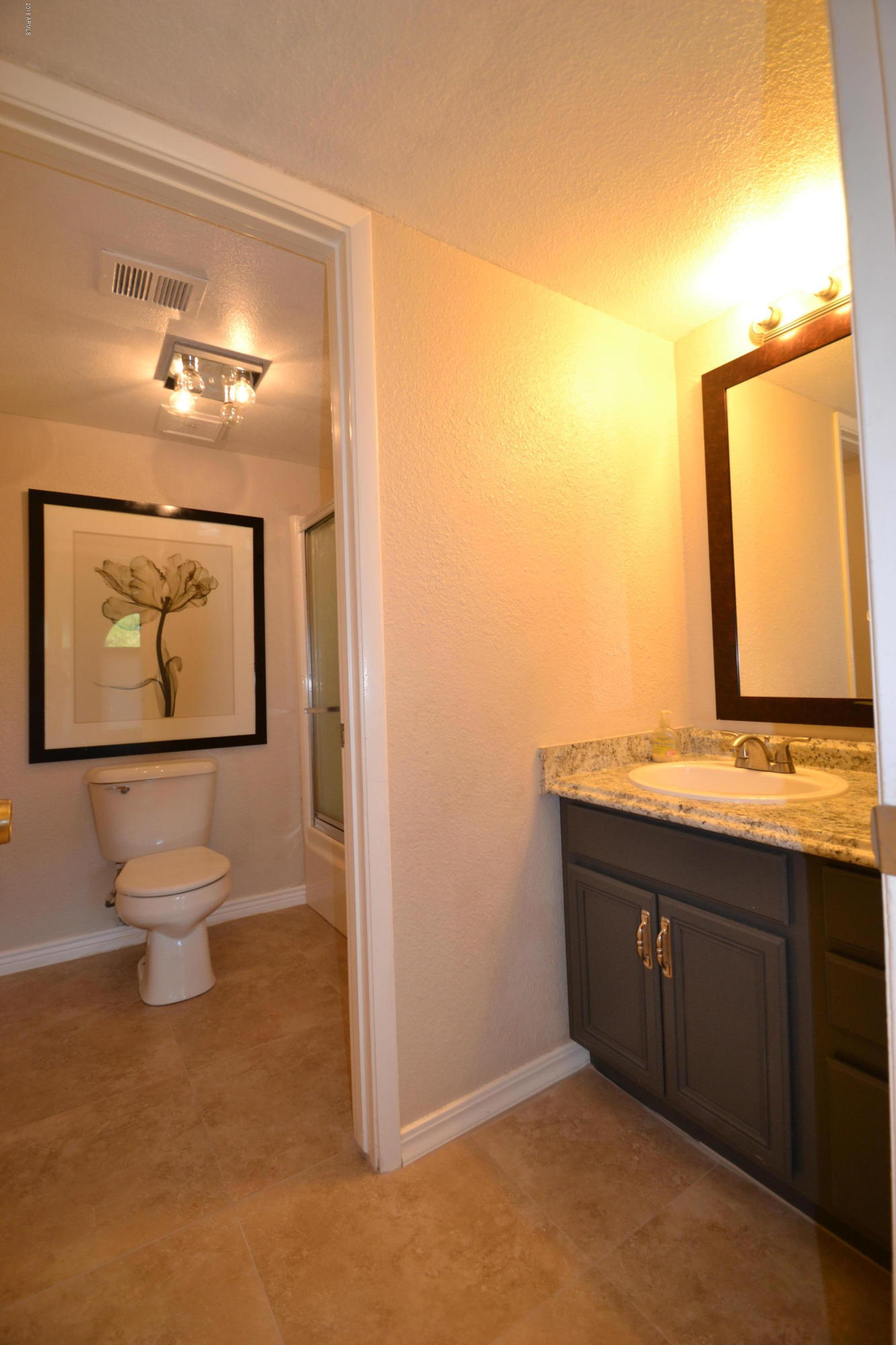 1809 West Decatur Street Mesa, AZ 85201 - Photo 19 of 30 DSC_0207 - Copy