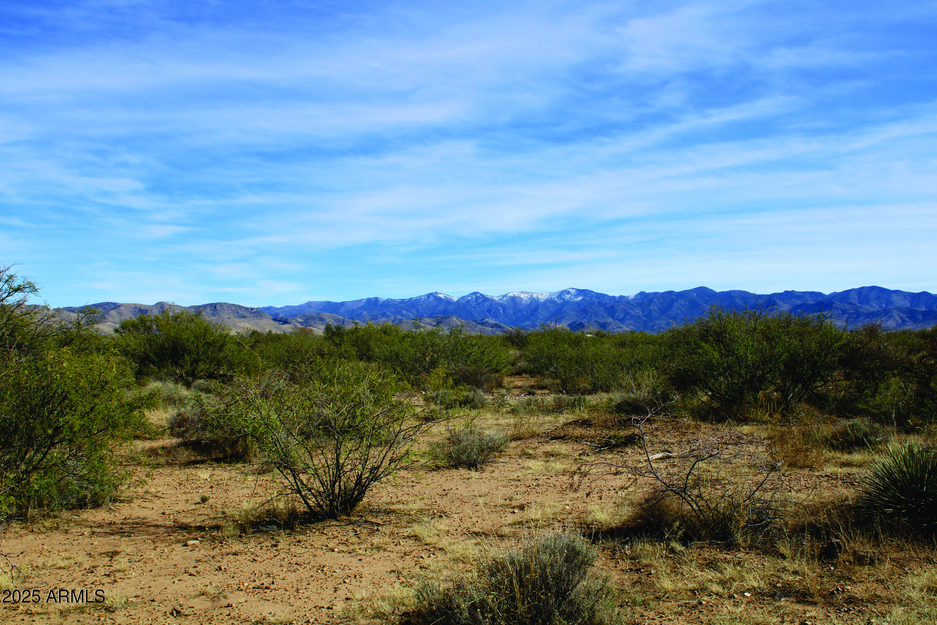 10-acres East Roadrunner Road Pearce, AZ 85625 - Photo 24 of 37 IMG_0799.JPG