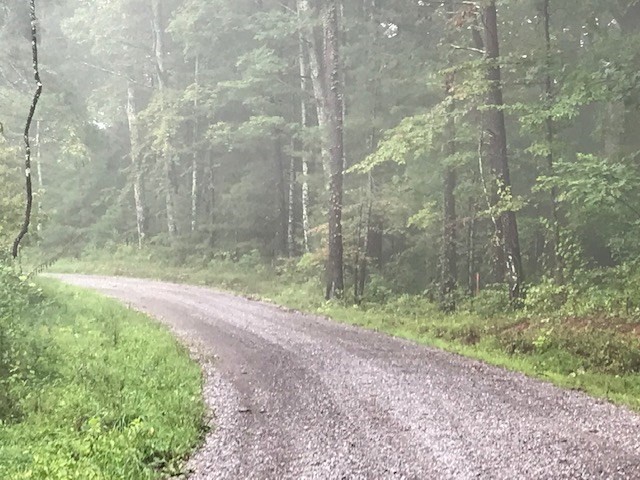 0 Chestnut Road Reliance, TN 37369 - Photo 3 of 9