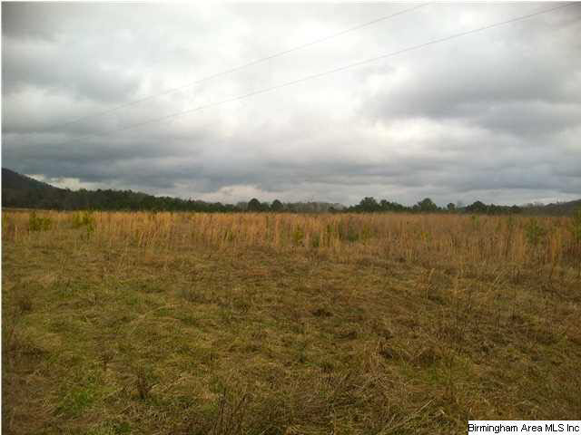 4147 Washington Valley Road, Unit 108 AC Springville, AL 35146 - Photo 10 of 10 Gallery Image 10