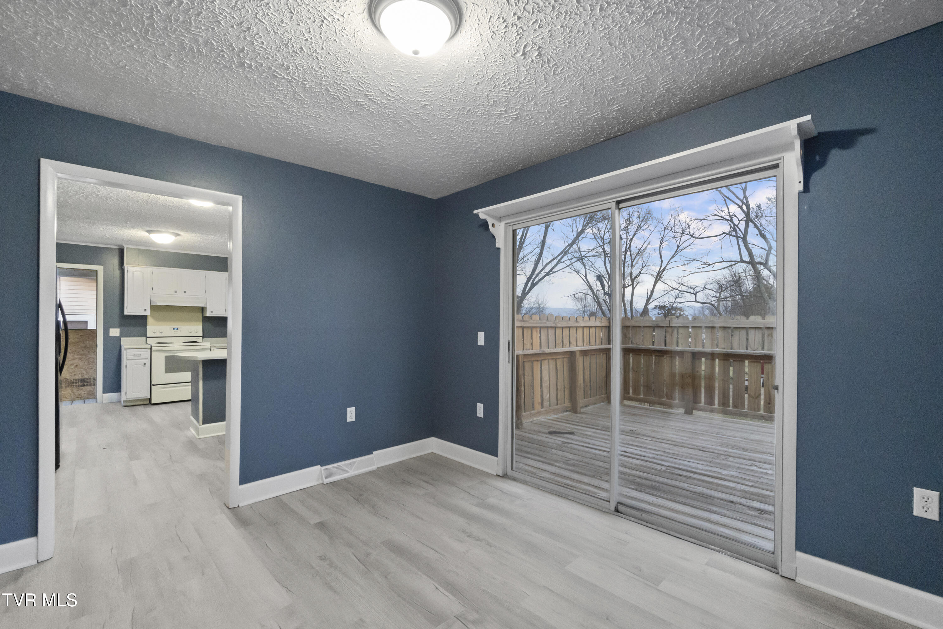 1002 Kiser Boulevard Greeneville, TN 37745 - Photo 10 of 50 DSC00215