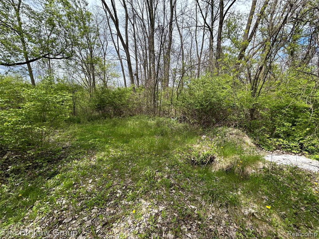 6120 Kelly Road Flushing, MI 48433 - Photo 6 of 8