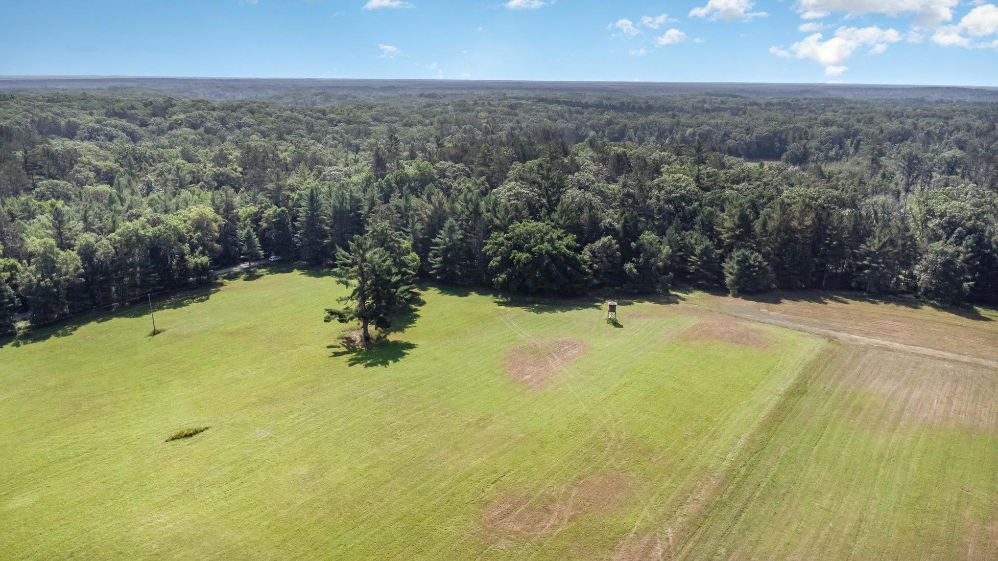 2486 Adams Road Glennie, MI 48737 - Photo 59 of 99