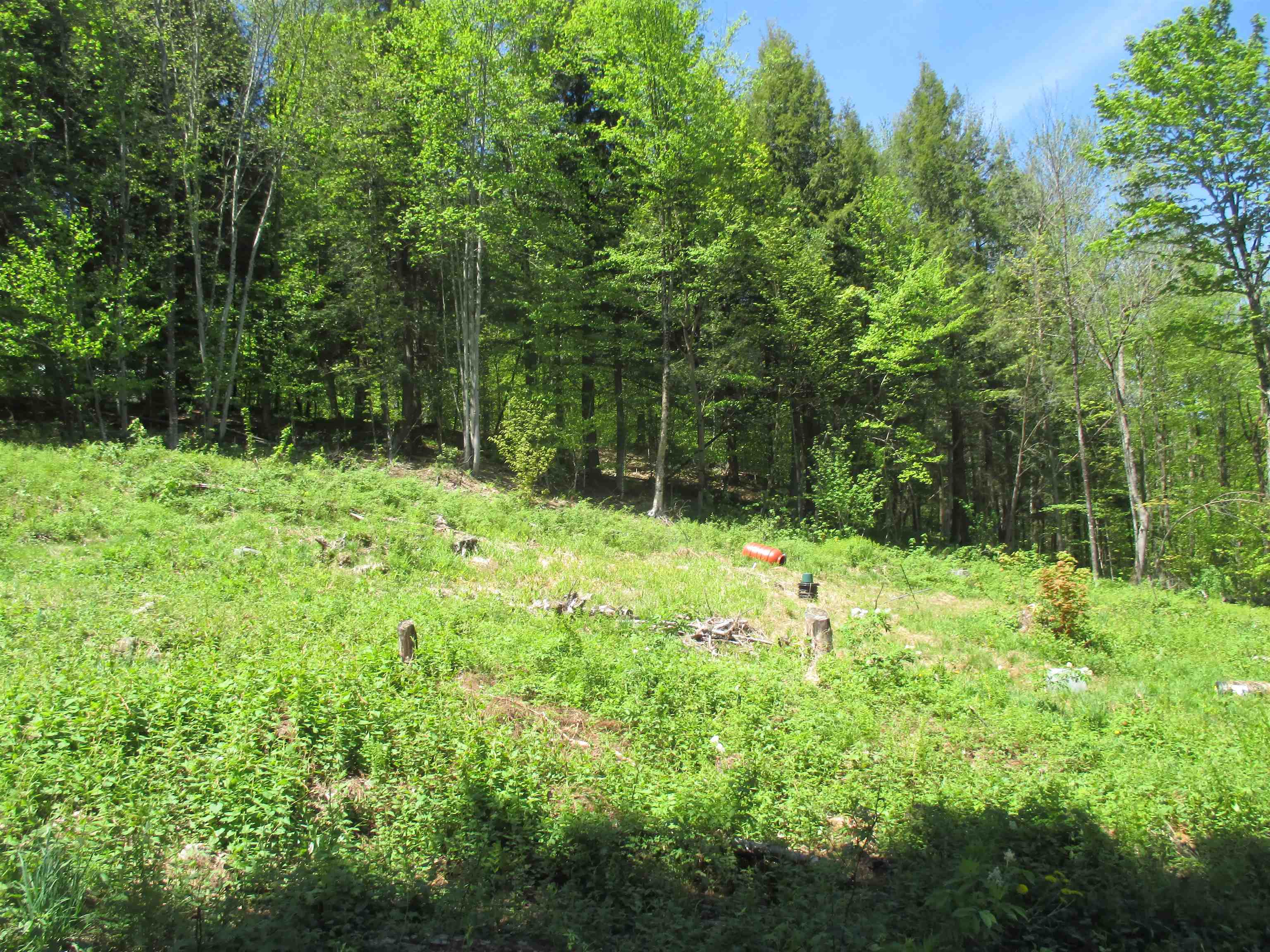 798 Ball Ground Road Westfield, VT 05874 - Photo 4 of 17