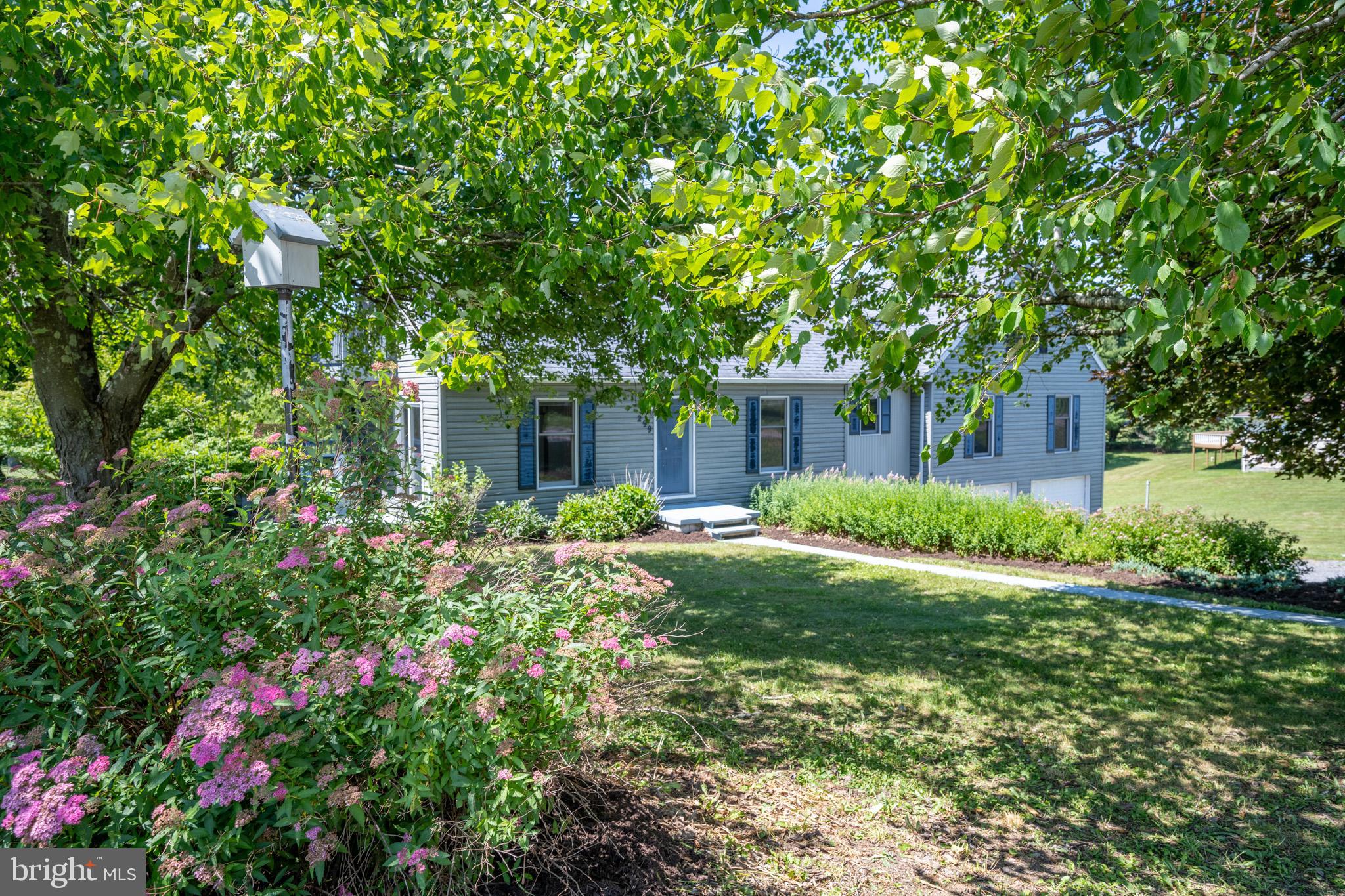 299 Bumble Bee Road Accident, MD 21520 - Photo 19 of 90