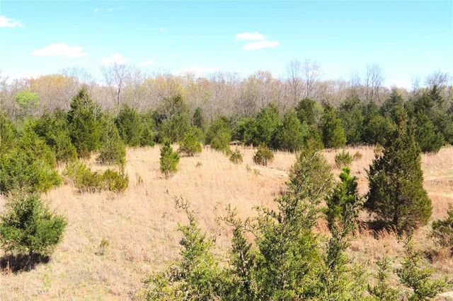 $225,000 | 1 Cinque Hommes Drive, Perryville, MO 63775