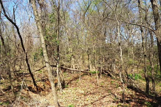 $225,000 | 1 Cinque Hommes Drive, Perryville, MO 63775