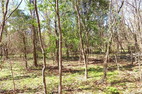 $225,000 | 1 Cinque Hommes Drive, Perryville, MO 63775