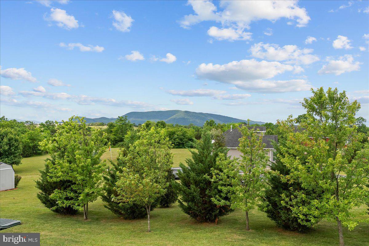 461 Veterans Road Middletown, VA 22645 - Photo 45 of 54