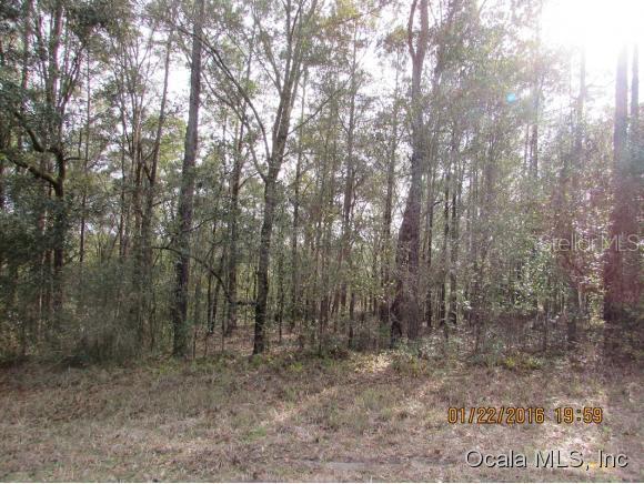 0 Southwest 102nd Street Road Dunnellon, FL 34431 - Photo 1 of 1 Primary Photo