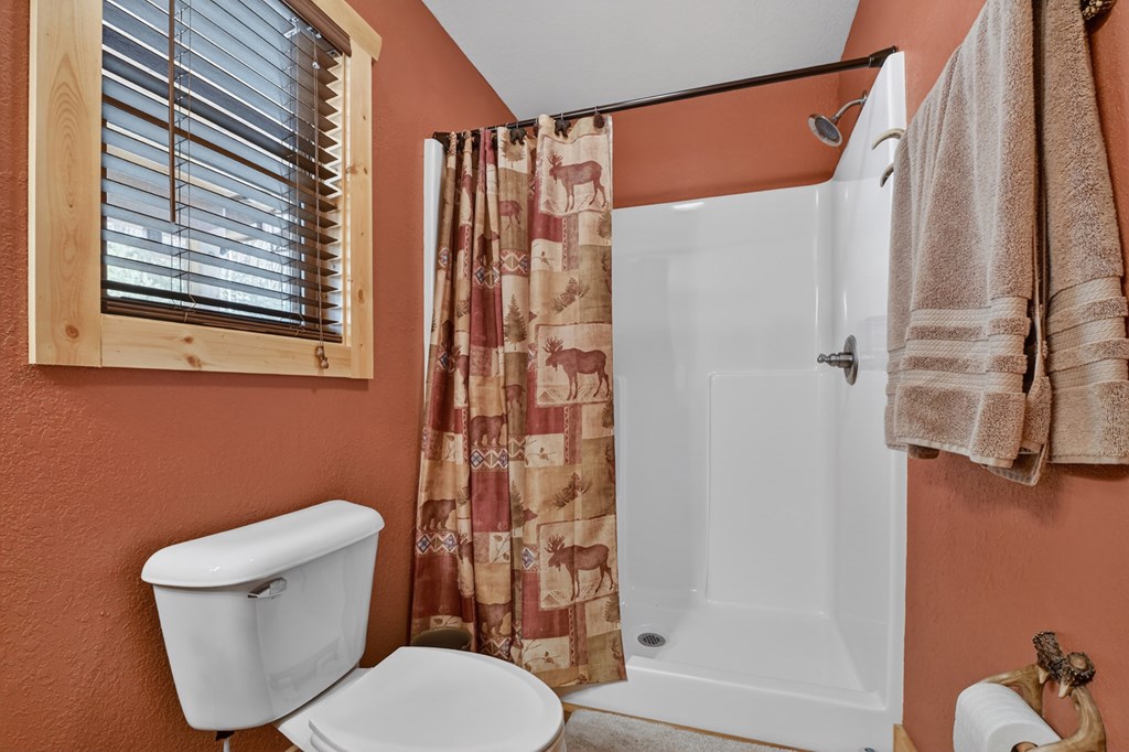 70 Riverside Lane Blue Ridge, GA 30513 - Photo 33 of 49 Gallery Image 33