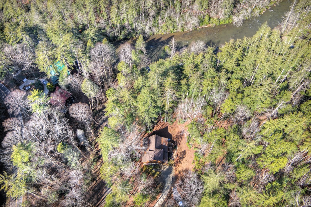 70 Riverside Lane Blue Ridge, GA 30513 - Photo 8 of 49 Gallery Image 8