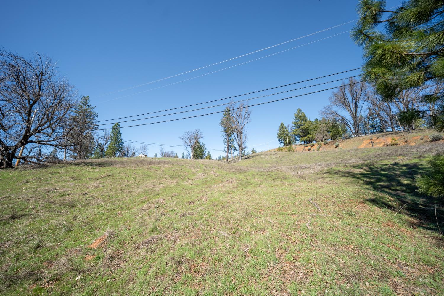 5252 Railroad Flat Road Mountain Ranch, CA 95246 - Photo 7 of 10 Gallery Image 7