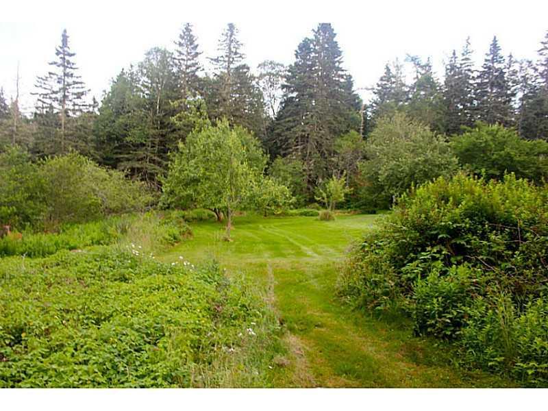 114 Tea Hill Road Stonington, ME 04681 - Photo 11 of 33 Land.