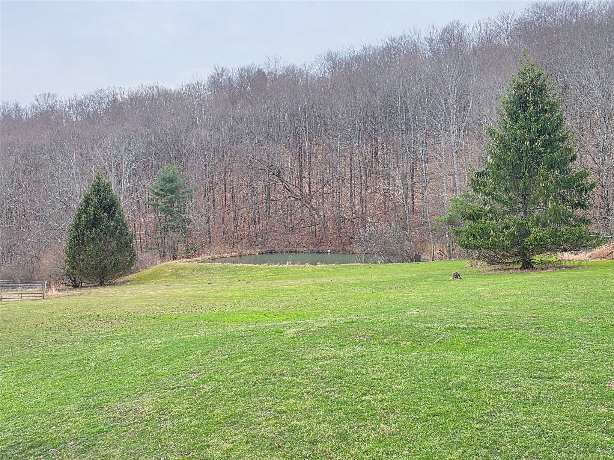 514 Crumtown Road Spencer, NY 14883 - Photo 31 of 49