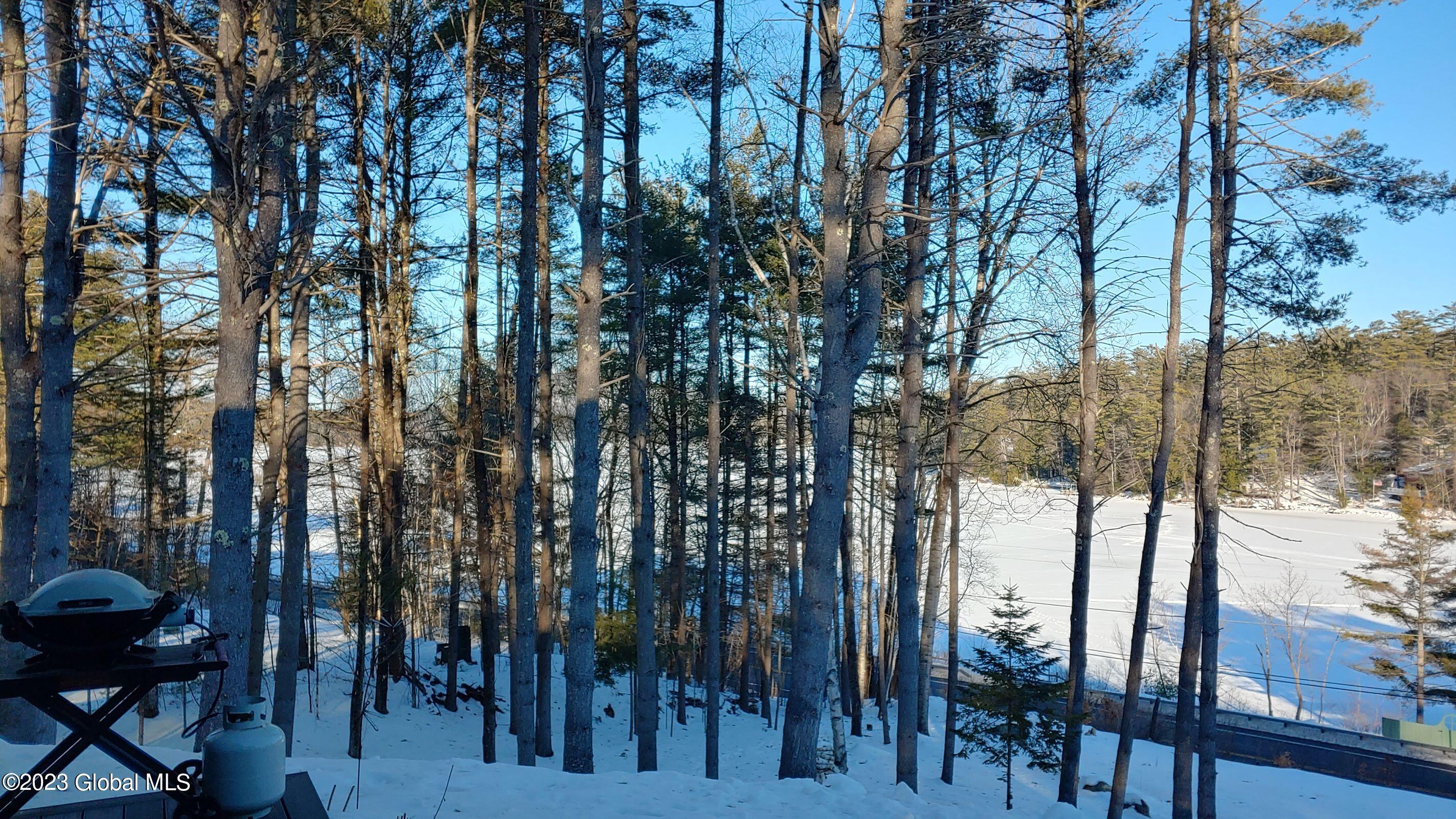 10 Van Guilder Road Chester, NY 12817 - Photo 4 of 31 View of Loon Lake from Porch