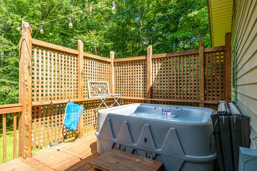 1643 Lucius Road Cherry Log, GA 30522 - Photo 15 of 45