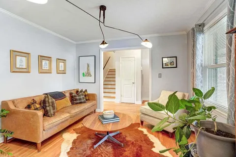 a living room with furniture and a potted plant
