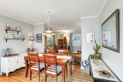 a dining room with furniture potted plants and wooden floor