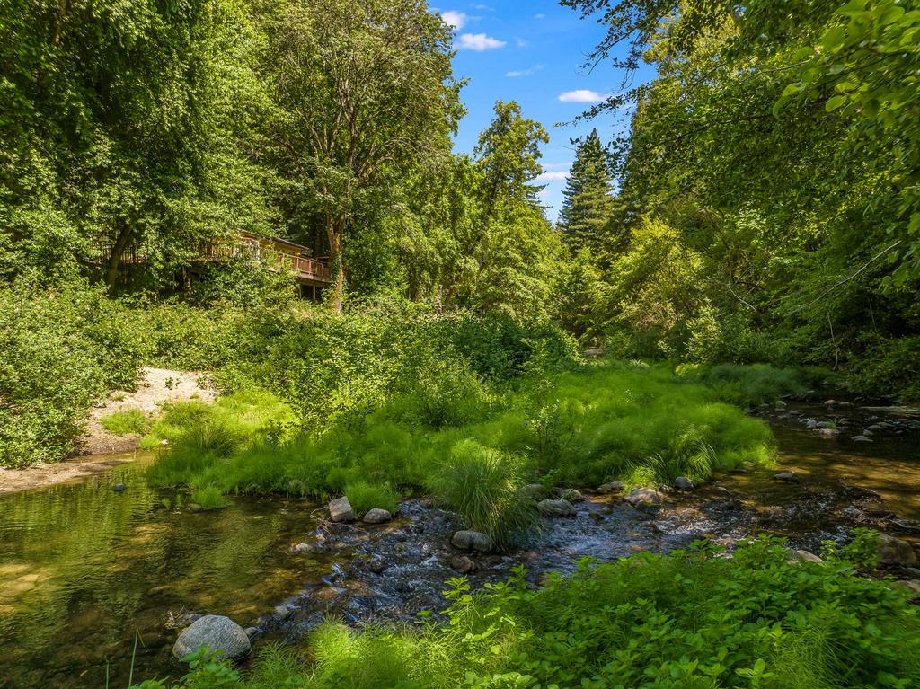168 Riverside Drive Boulder Creek, CA 95006 - Photo 52 of 52 a view of a garden with a tree