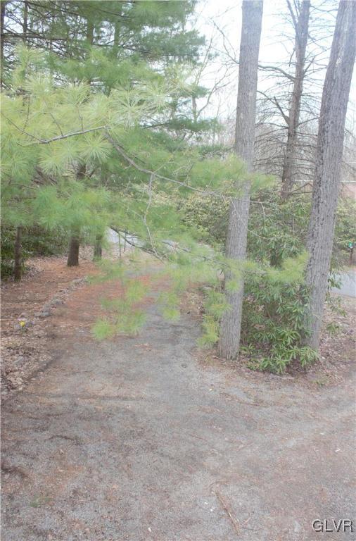 38 Algonkin Road Jim Thorpe, PA 18229 - Photo 5 of 44 Driveway