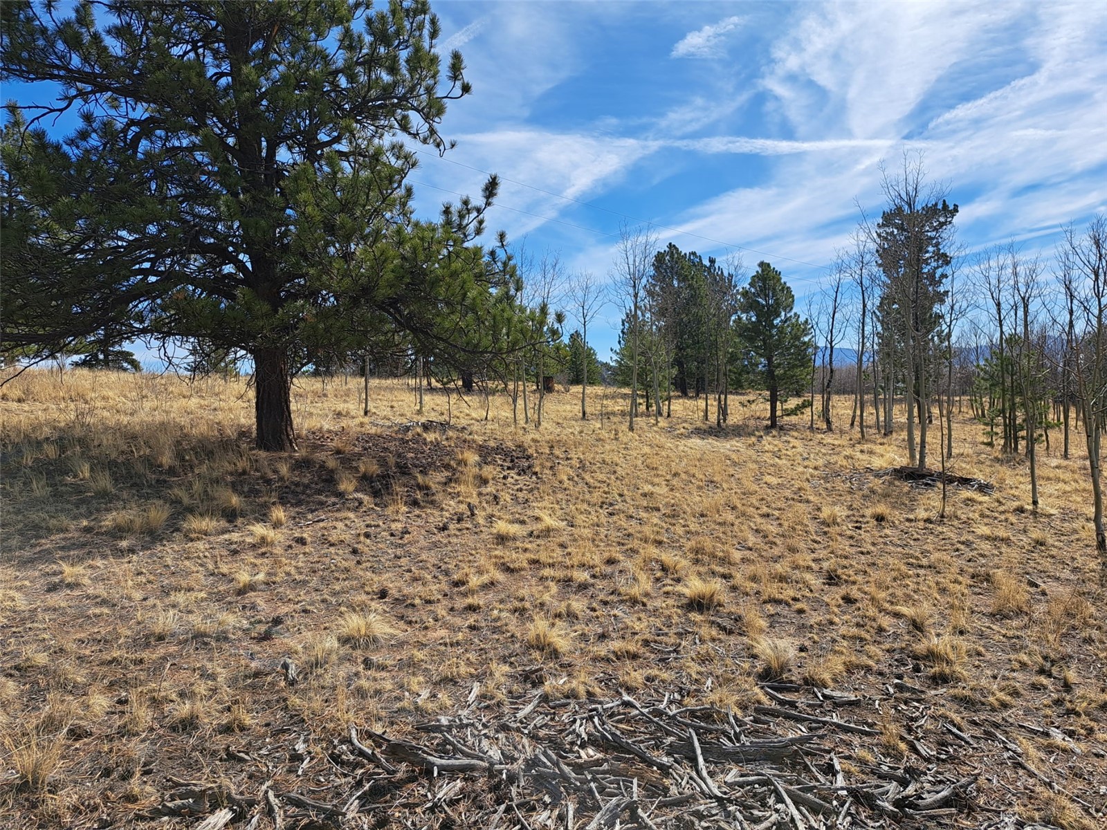 593 Pinto Trail Como, CO 80432 - Photo 7 of 21